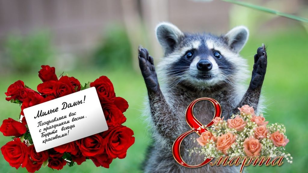 Хостинг картинок yapx.ru