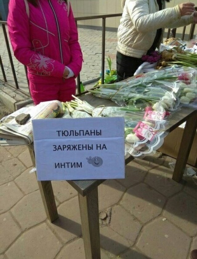 Хостинг картинок yapx.ru