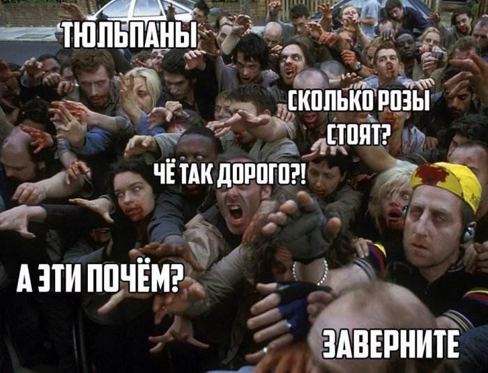 Хостинг картинок yapx.ru