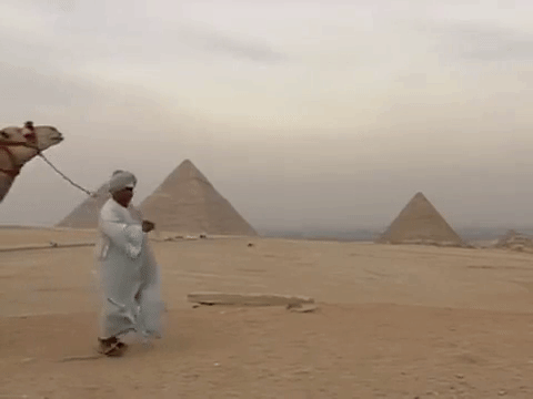 Гифка верблюд гиф картинка, скачать анимированный gif