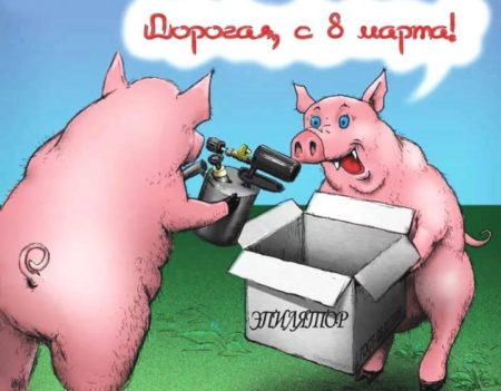 Хостинг картинок yapx.ru