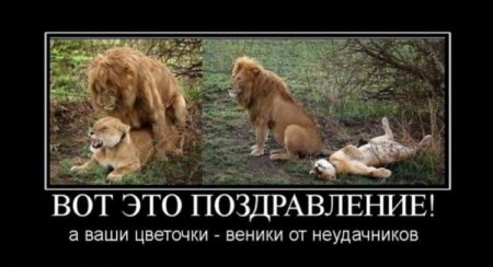 Хостинг картинок yapx.ru