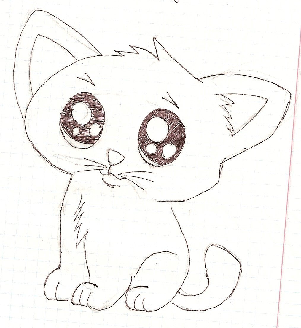 Рисунки животных для срисовки легкие. 