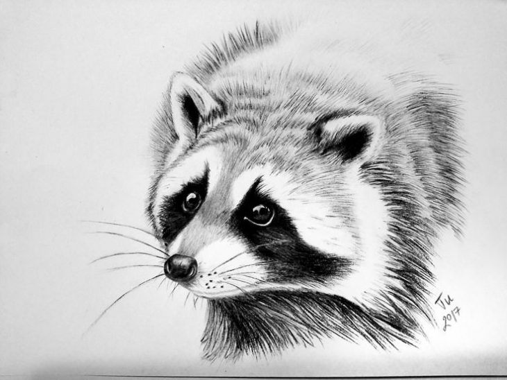 Хостинг картинок yapx.ru