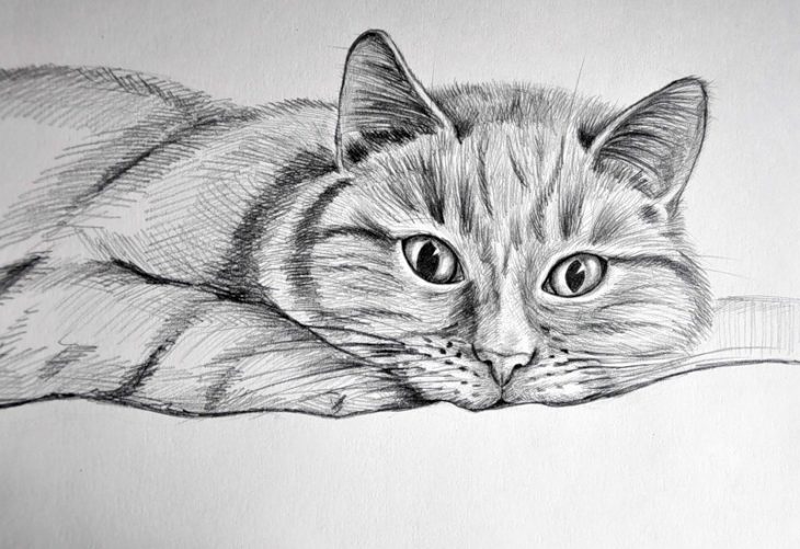 Хостинг картинок yapx.ru