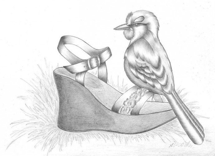 Хостинг картинок yapx.ru