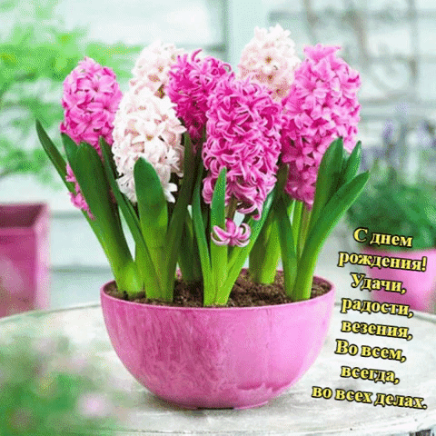 Поздравления с днём рождения женщине гифка. Поздравления с днём рождения женщине гифка.