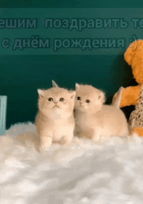 Поздравления с днём рождения девушке Поздравления с днём рождения девушке