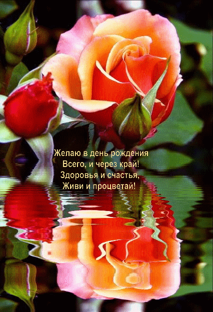 Красивые гифки на День Рождения, это как подарки. Красивые гифки на День Рождения, это как подарки.