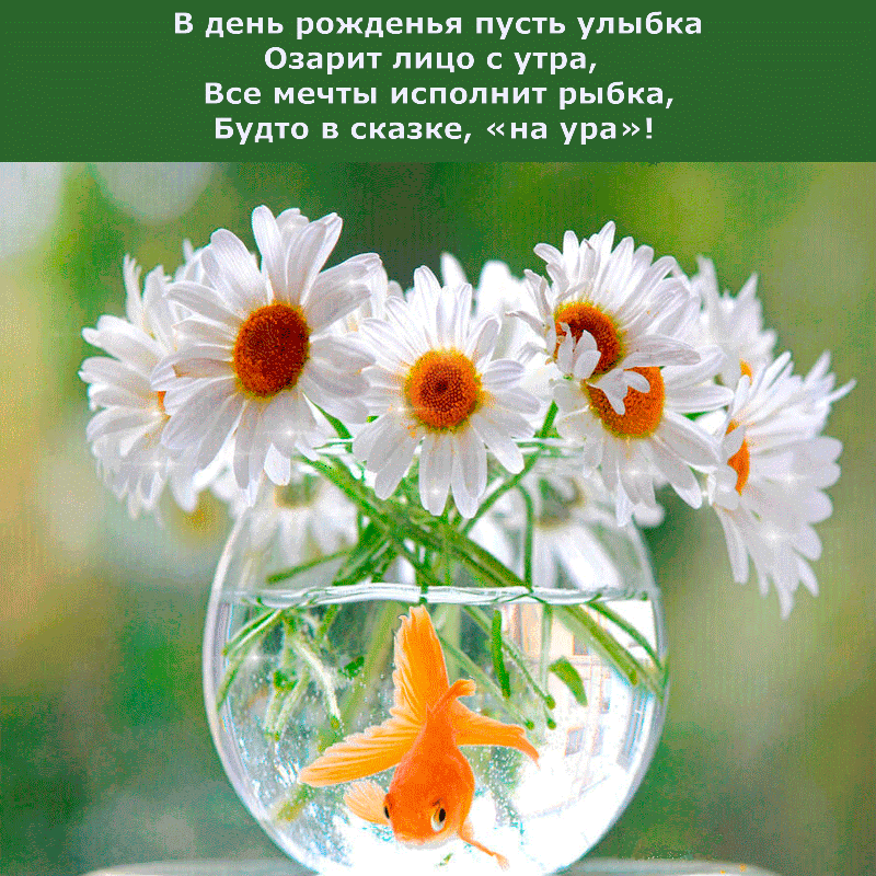 Поздравления с днём рождения женщине Поздравления с днём рождения женщине