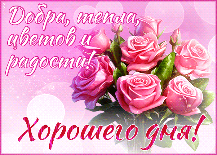 Гифка Добра, тепла, цветов и радости! Хорошего дня.