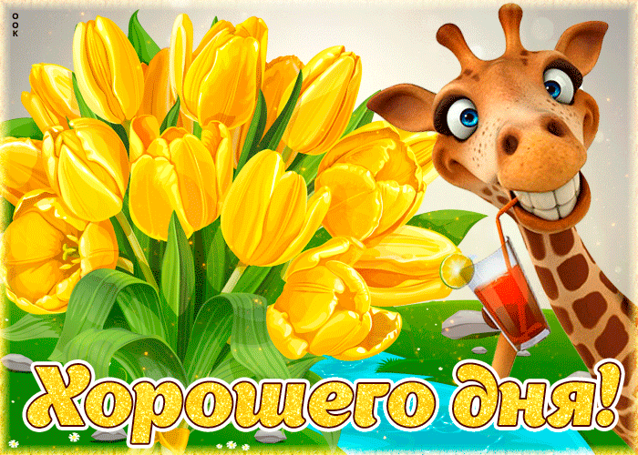 Смешная и Забавная открытка хорошего дня с жёлтыми тюльпанами и жирафом.