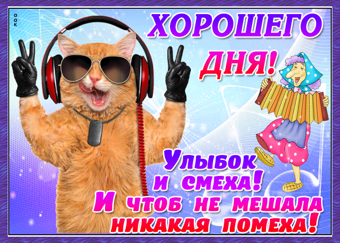 Смешная картинка с котиком и пожеланием Всем удачного дня.