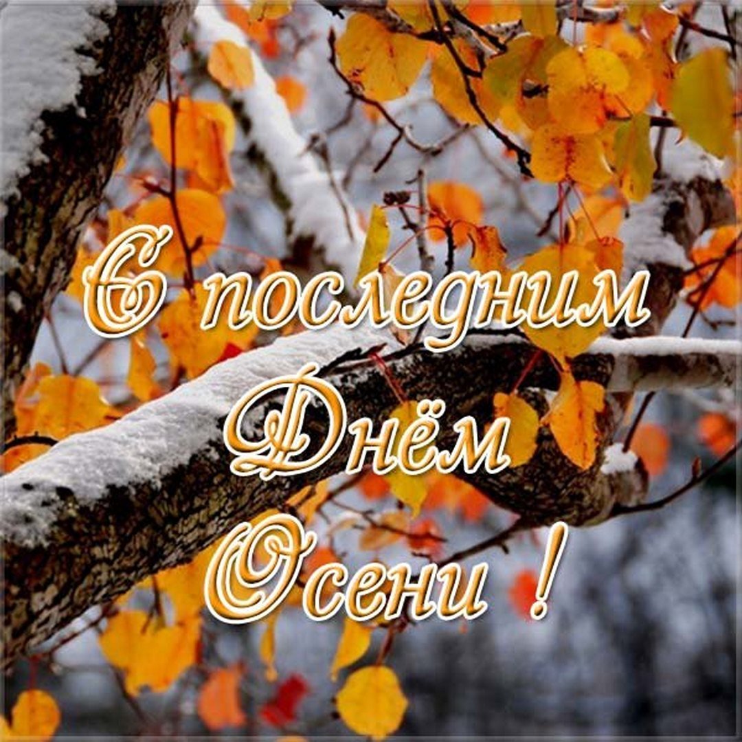 Хостинг картинок yapx.ru