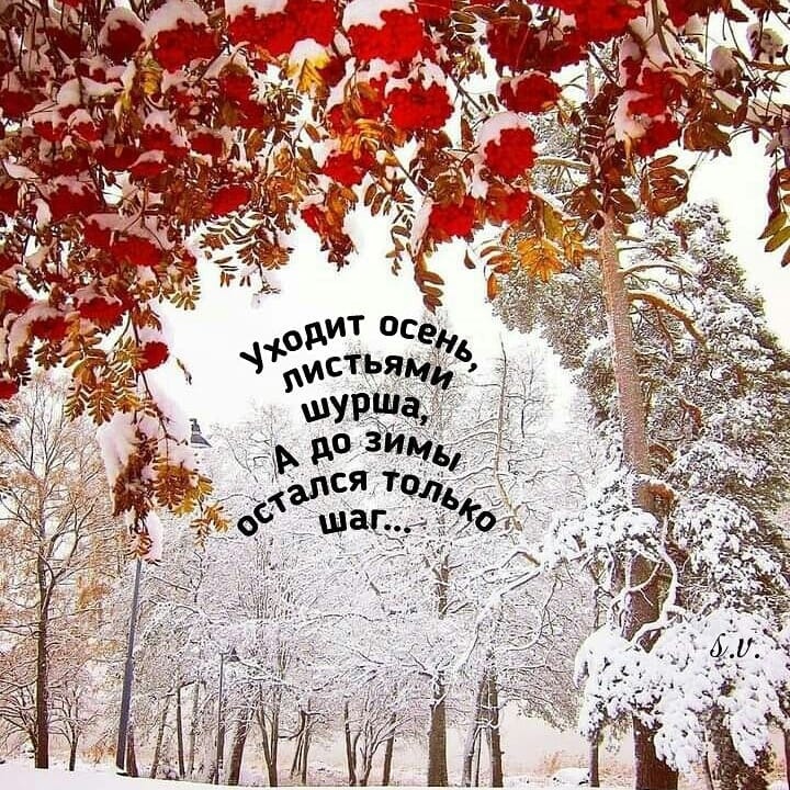 Хостинг картинок yapx.ru