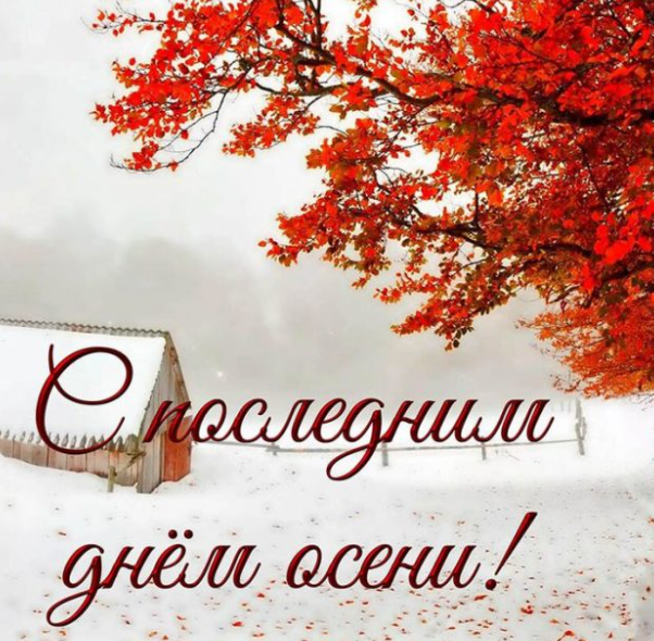 Хостинг картинок yapx.ru