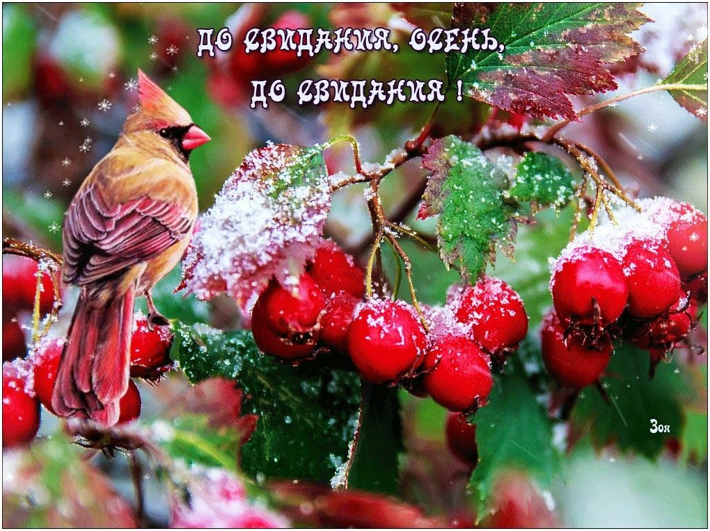 Хостинг картинок yapx.ru