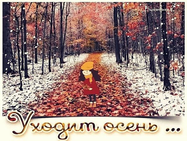 Хостинг картинок yapx.ru