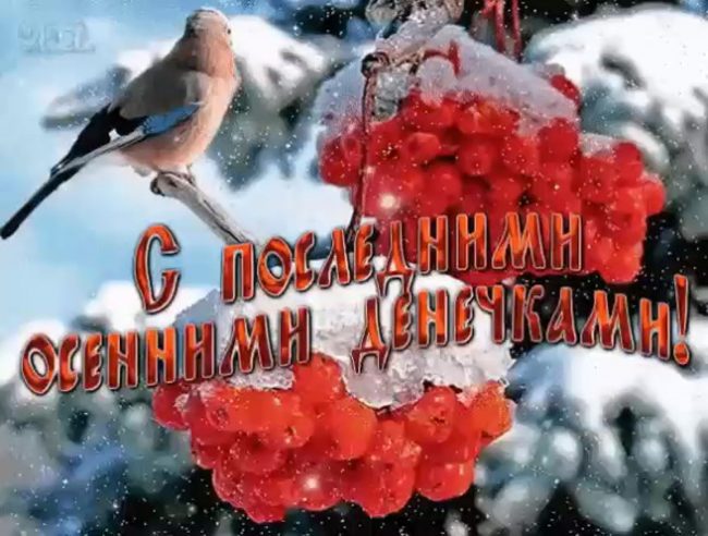 Поздравления с Последним днём Осени 30 Ноября 2023 - 2024