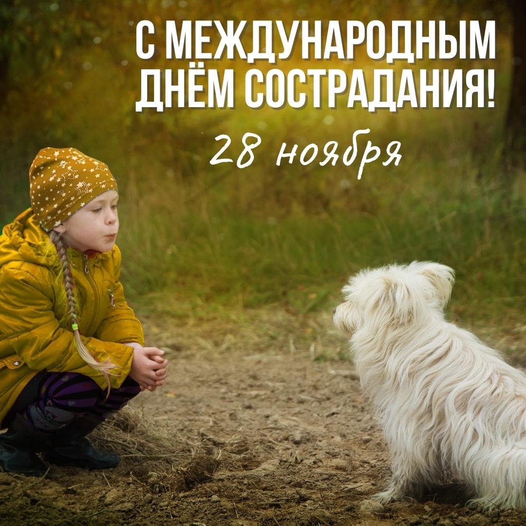 Хостинг картинок yapx.ru