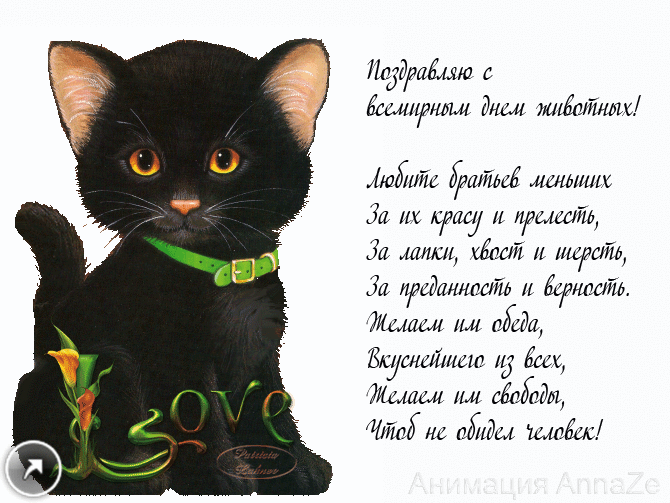 Анимация поздравляю с всемирным днём животных, gif картинка со стихами и чёрным котёнком. Анимация поздравляю с всемирным днём животных, gif картинка со стихами и чёрным котёнком.