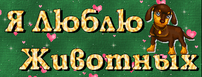 Гифка я люблю животных. Гифка я люблю животных.