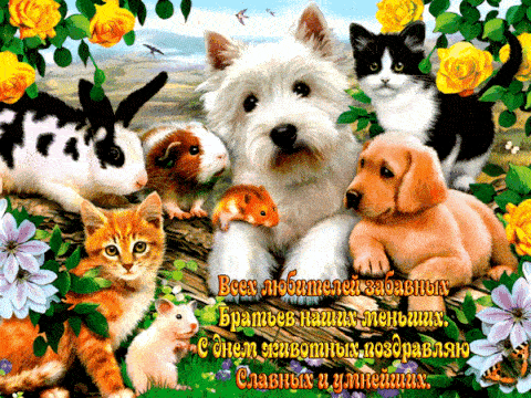 Анимационная открытка Всемирный день домашних животных Анимационная открытка Всемирный день домашних животных