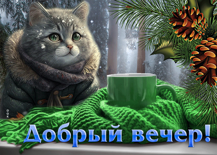 Зимняя Чарующая анимационная открытка Добрый вечер с котиком.