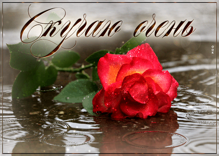 Дождливая Безупречная и загадочная анимационная открытка Скучаю очень.