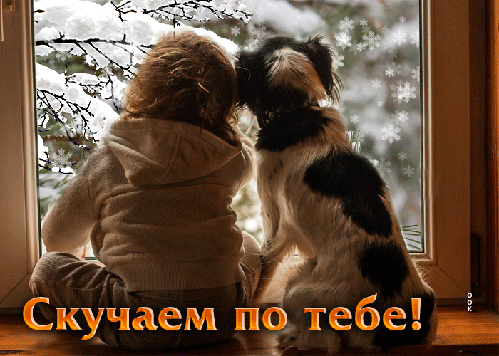 Зимняя Интригующая и загадочная анимационная открытка Скучаем по тебе.