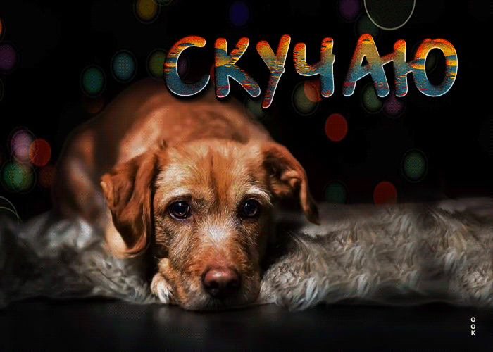 Великолепно сделанная анимационная открытка Скучаю с грустным псом.