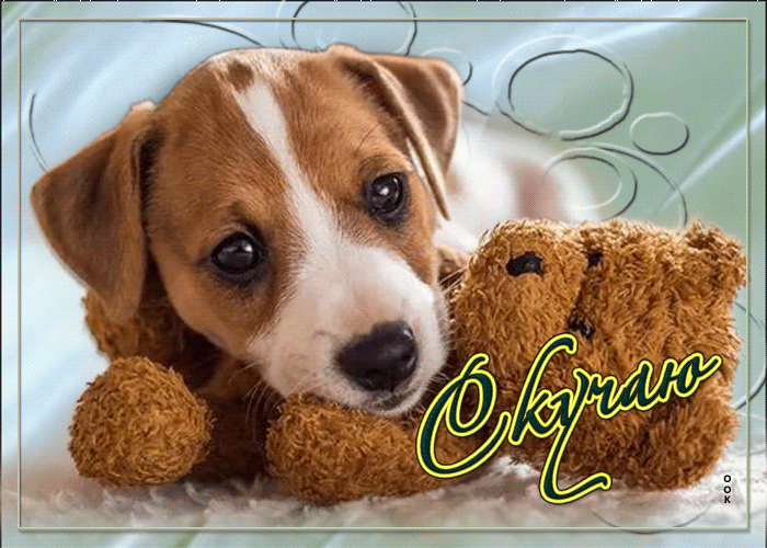 Невероятная и удивительная гиф-открытка Скучаю с мягким медвежонком и пёсиком.