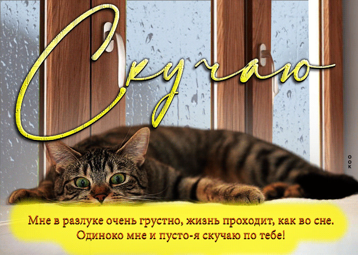 Гифка Мне в разлуке очень грустно, жизнь проходит, как во сне.