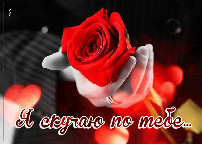 Отлично выполненная гифка, анимация с розой Я скучаю по тебе.