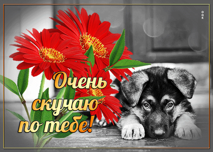 Искренняя открытка Очень скучаю по тебе!