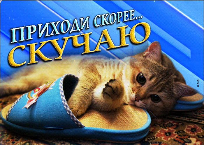 Смешная открытка, gif картинка Приходи скорее... Скучаю.