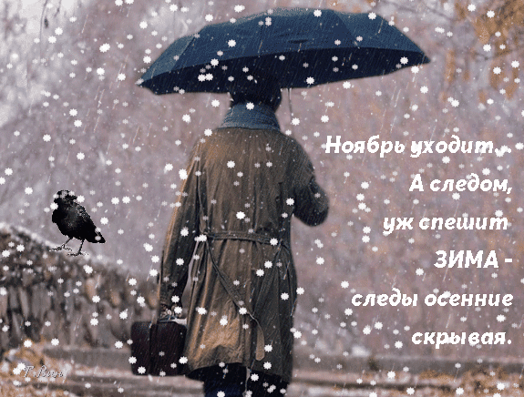 Ноябрь уходит.... А следом уже спешит зима - следы осенние скрывая. Ноябрь уходит.... А следом уже спешит зима - следы осенние скрывая.