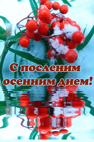 Последний день осени - открытки на WhatsApp, Viber, в Одноклассники. Последний день осени - открытки на WhatsApp, Viber, в Одноклассники.