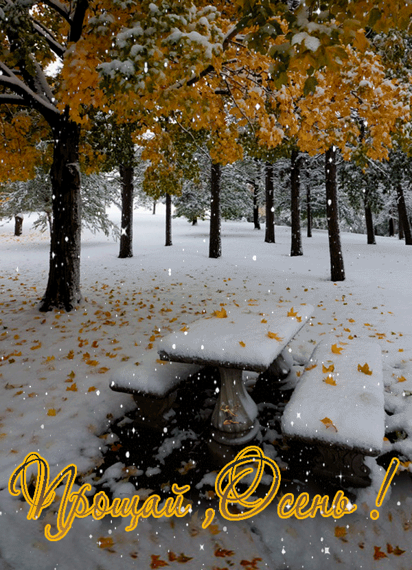 Новая гифка с надписью "Прощай, Осень!". Новая гифка с надписью "Прощай, Осень!".