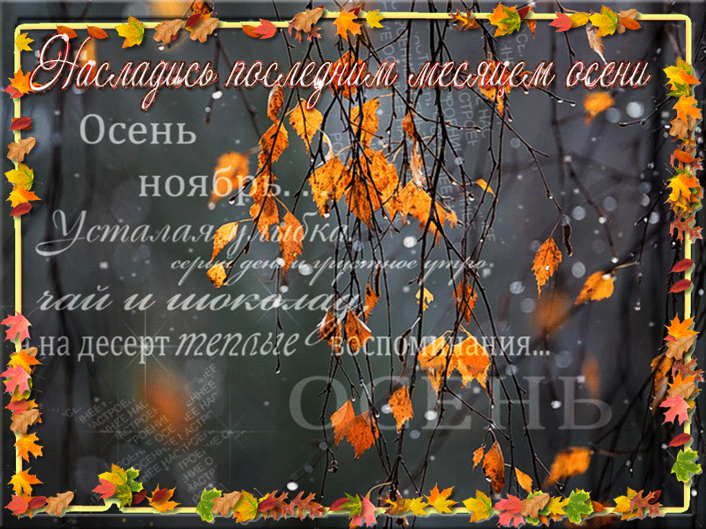 Гифка насладись последним месяцем осени, анимация со стихами. Гифка насладись последним месяцем осени, анимация со стихами.