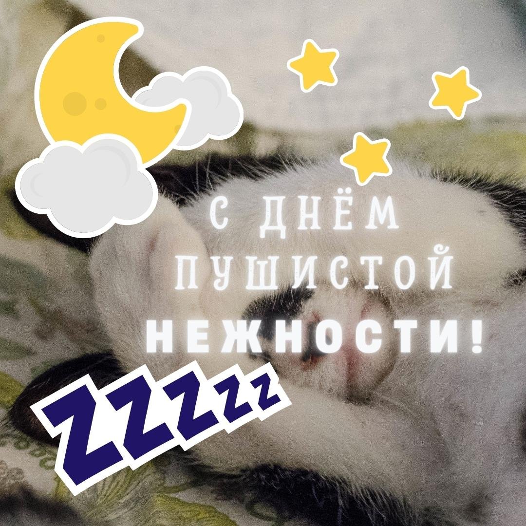 Картинки с днём Пушистой Нежности 2 Декабря (30 фото) Картинки с днём Пушистой Нежности 2 Декабря (30 фото)