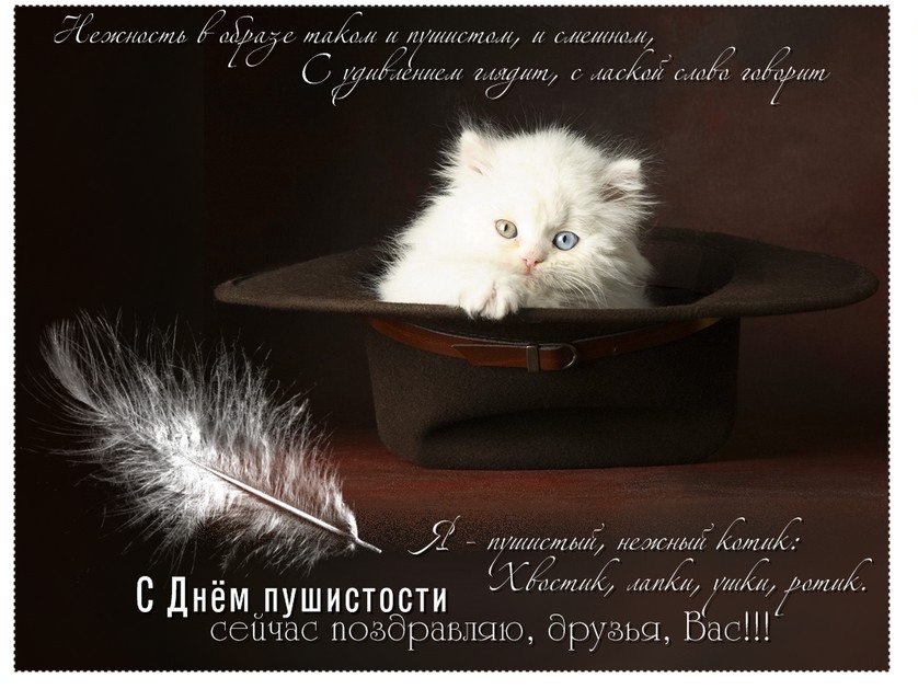 Поздравления в открытках с днём Пушистой Нежности 2023 - 2024 Поздравления в открытках с днём Пушистой Нежности 2023 - 2024