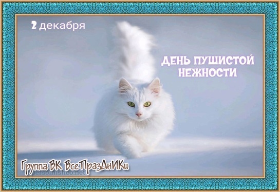 Поздравления в открытках с днём Пушистой Нежности 2023 - 2024 Поздравления в открытках с днём Пушистой Нежности 2023 - 2024