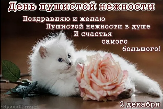 Картинки с днём Пушистой Нежности 2 Декабря (30 фото) Картинки с днём Пушистой Нежности 2 Декабря (30 фото)