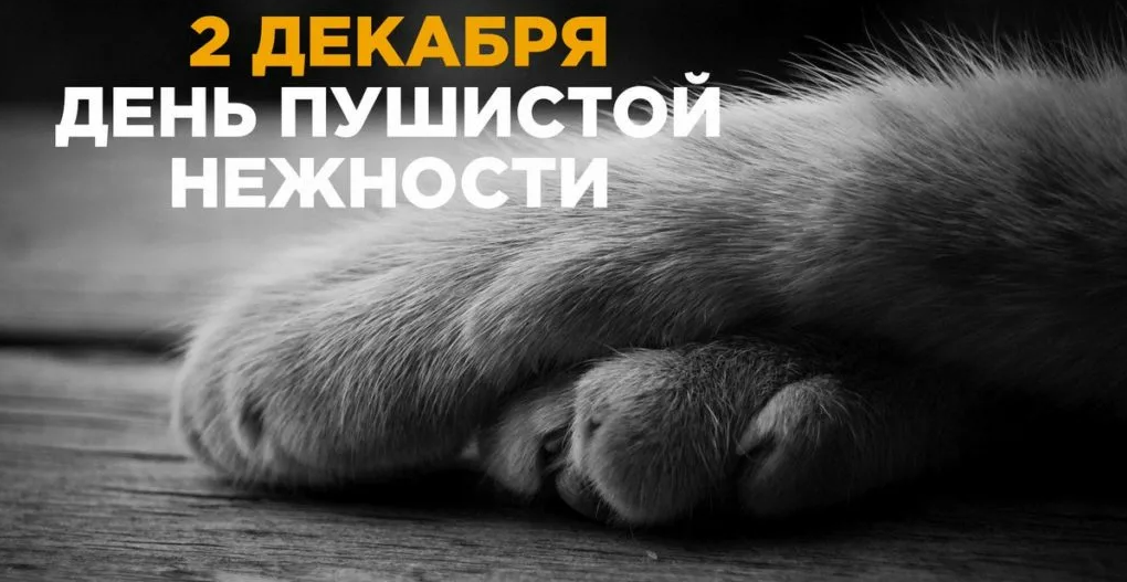 Картинки с днём Пушистой Нежности 2 Декабря (30 фото) Картинки с днём Пушистой Нежности 2 Декабря (30 фото)