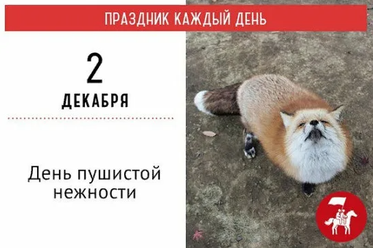 Хостинг картинок yapx.ru