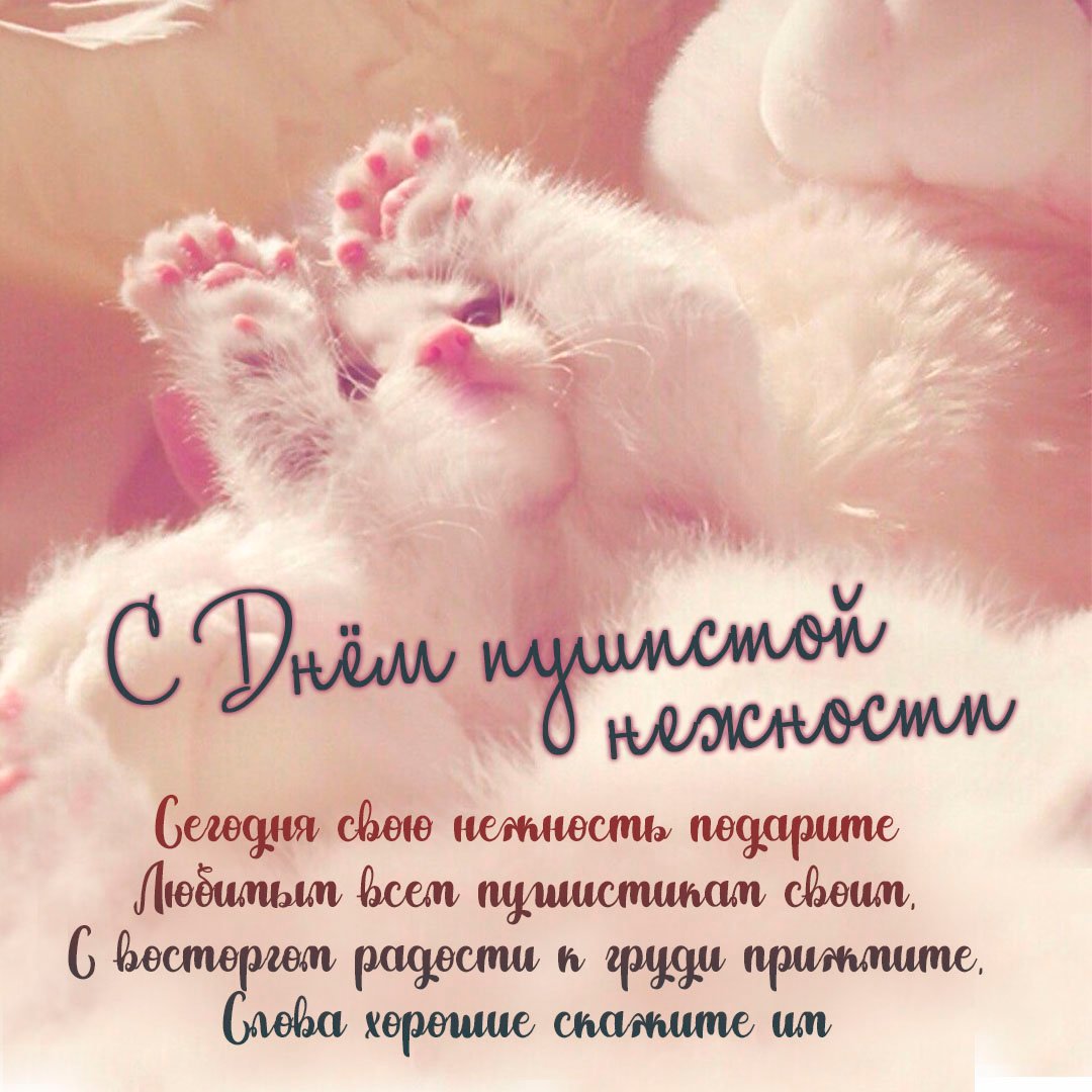 Хостинг картинок yapx.ru