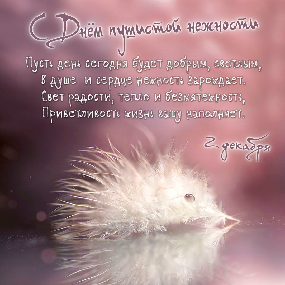 Картинки с днём Пушистой Нежности 2 Декабря (30 фото) Картинки с днём Пушистой Нежности 2 Декабря (30 фото)