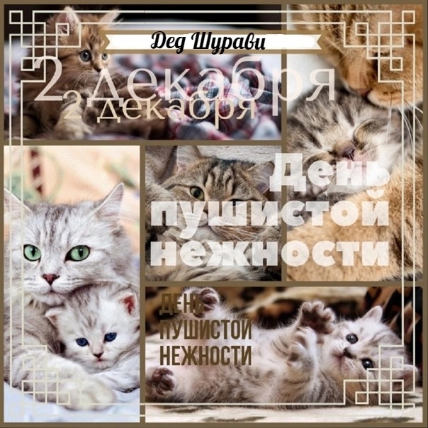 Хостинг картинок yapx.ru