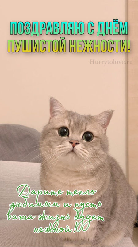 Поздравления в открытках с днём Пушистой Нежности 2023 - 2024. Поздравления в открытках с днём Пушистой Нежности 2023 - 2024.